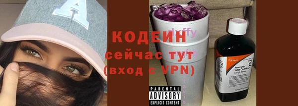 дурь Щучье