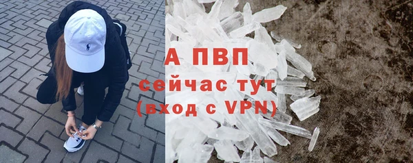 стаф Бородино