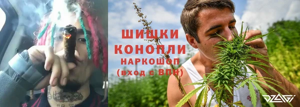 дурь Щучье