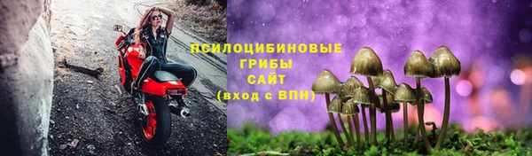 дурь Щучье