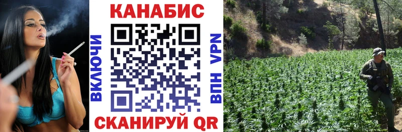 Конопля семена  Купить где  Кашин 